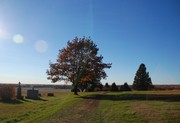 cemetery