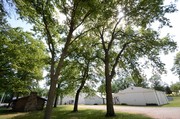 cabin and trees