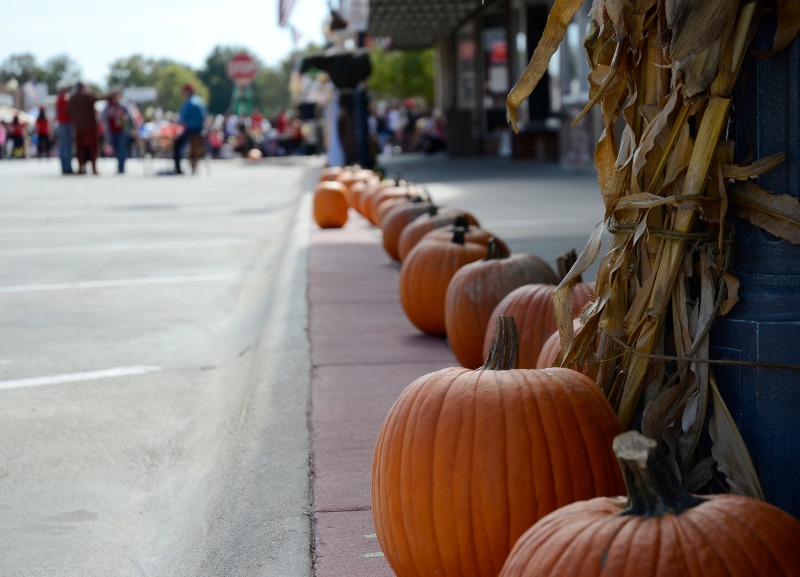 pumpkin festival