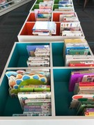 book bins