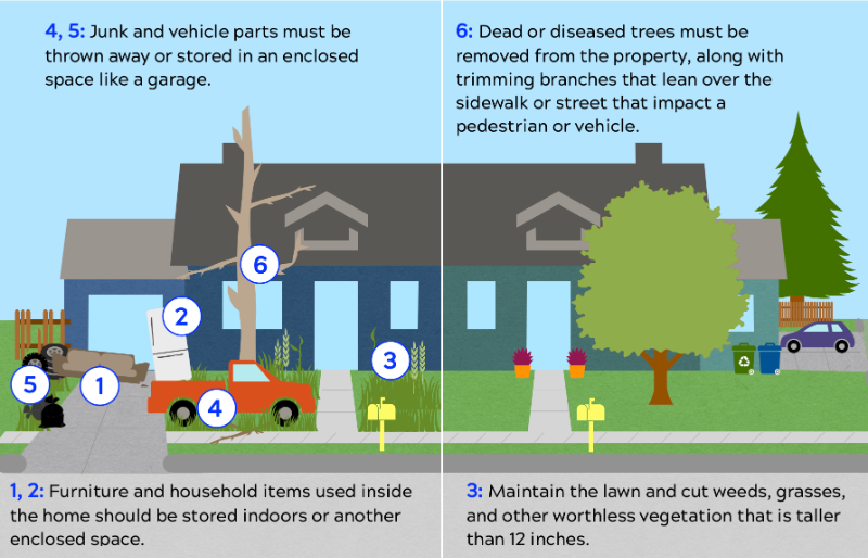 general nuisance types