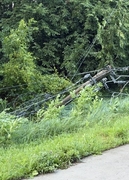 utility poles and lines damaged